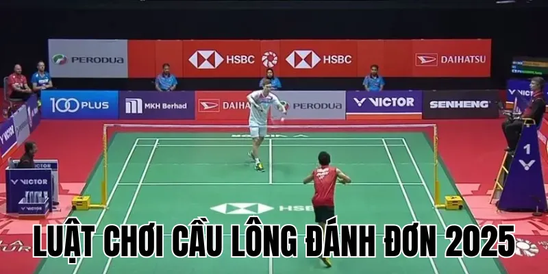 Luật Chơi Bóng Bàn 2025: Hướng Dẫn & Quy Định Thi Đấu