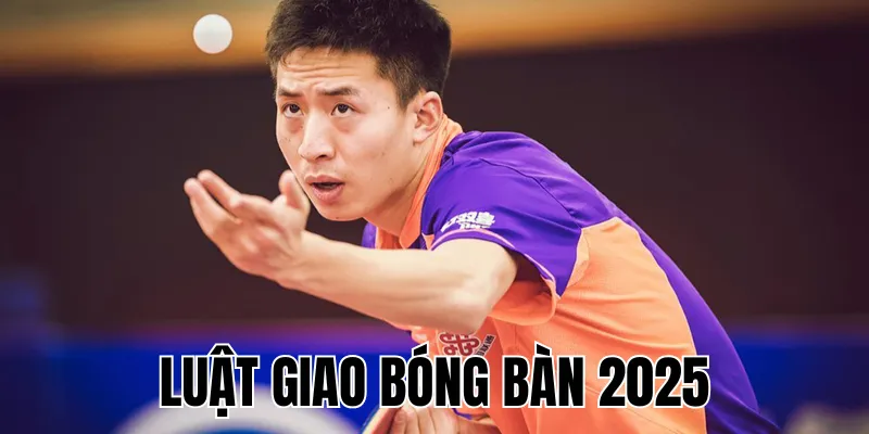 Luật Chơi Bóng Bàn 2025: Hướng Dẫn & Quy Định Thi Đấu