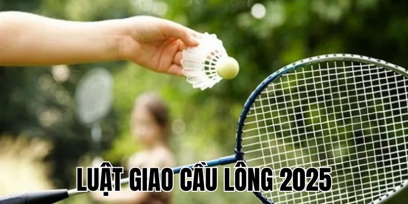 Luật Chơi Bóng Bàn 2025: Hướng Dẫn & Quy Định Thi Đấu