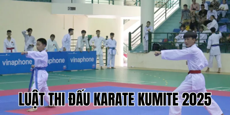 Luật Đấu Kiếm Epee 2025: Quy Tắc Và Chi Tiết Cuộc Thi
